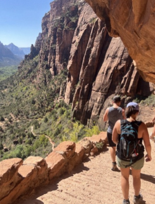 went to Zion